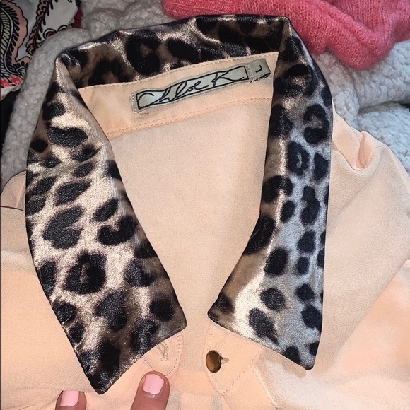Chloe K Chiffon Velvet Cheetah Polo Collar Blouse - Picture 4 of 4
